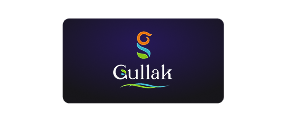 Gullak Gullak ecommerce seller TrackVid VMS